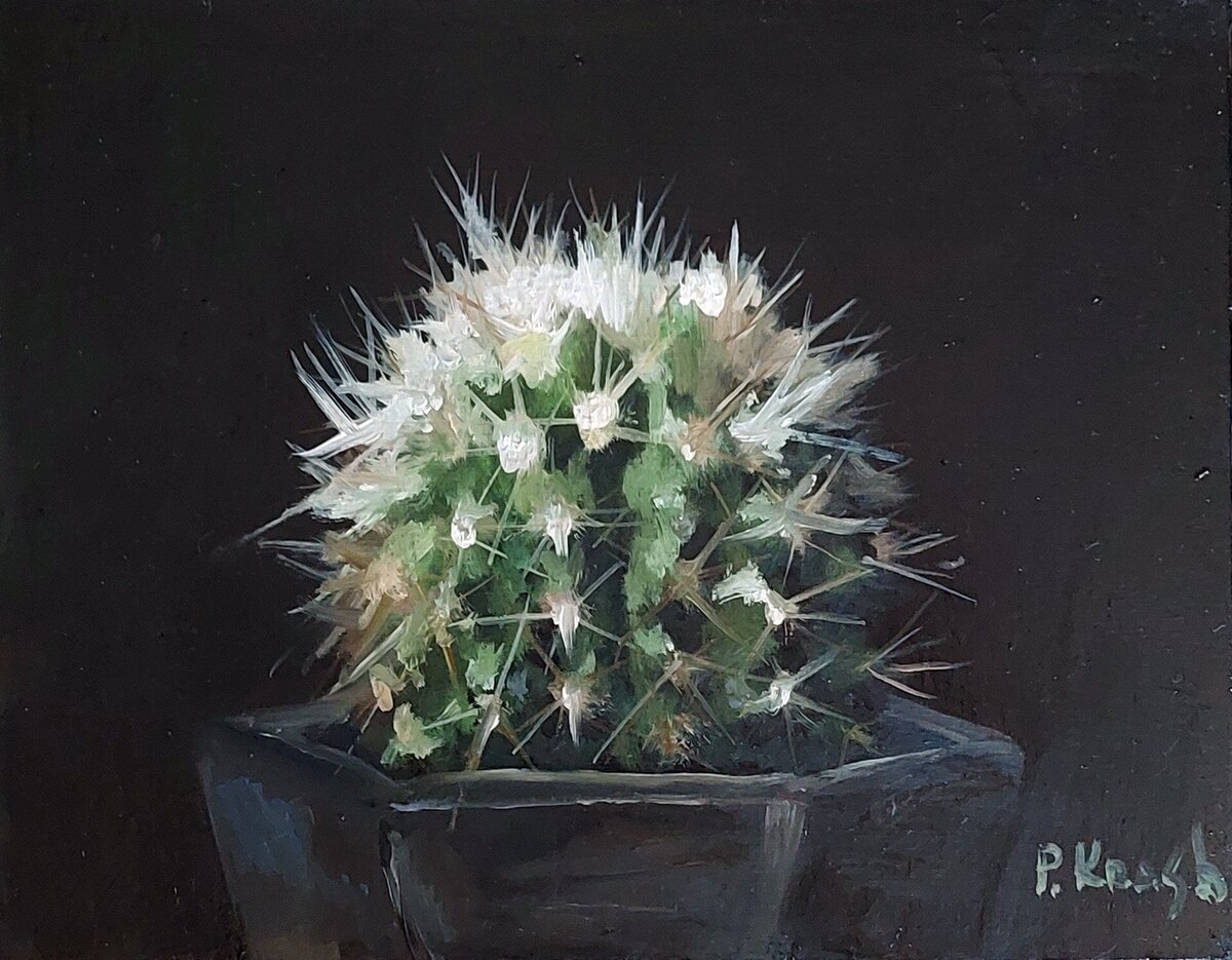 Cactus
